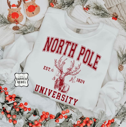 North Pole with A Reindeer