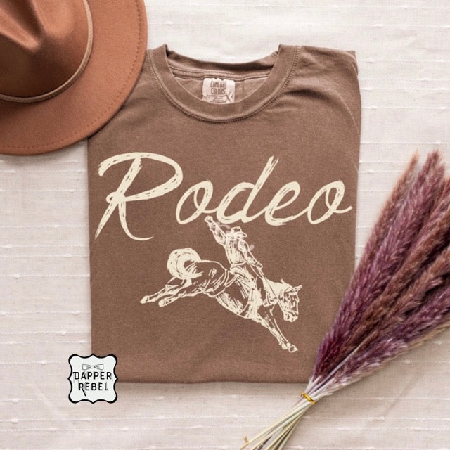 Rodeo with Horse