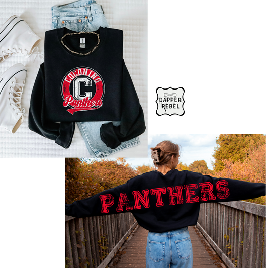 Vintage Panthers Front and Back